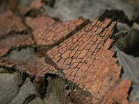 img_4560-1600x1067.jpg